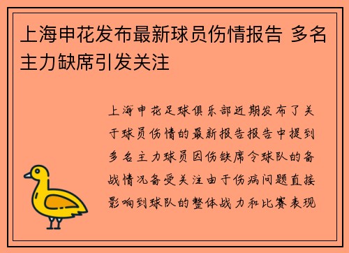 上海申花发布最新球员伤情报告 多名主力缺席引发关注