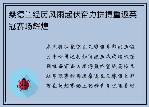 桑德兰经历风雨起伏奋力拼搏重返英冠赛场辉煌